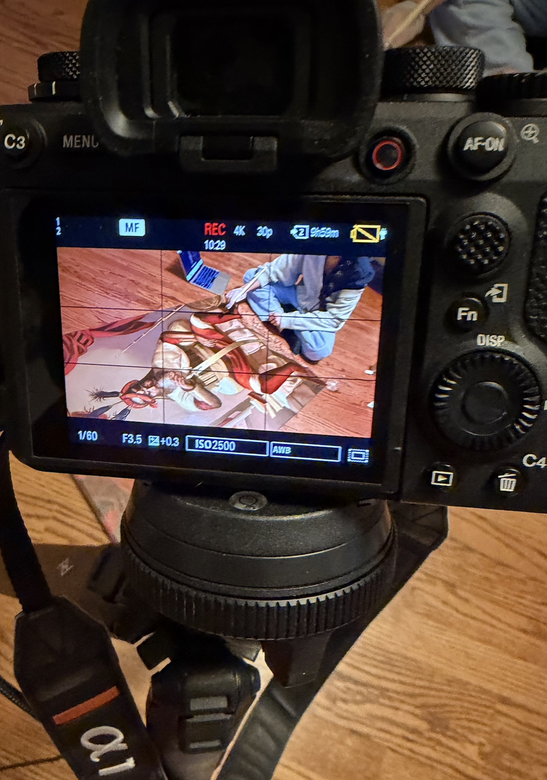 A camera filming Parnaz painting, screen showing the shot