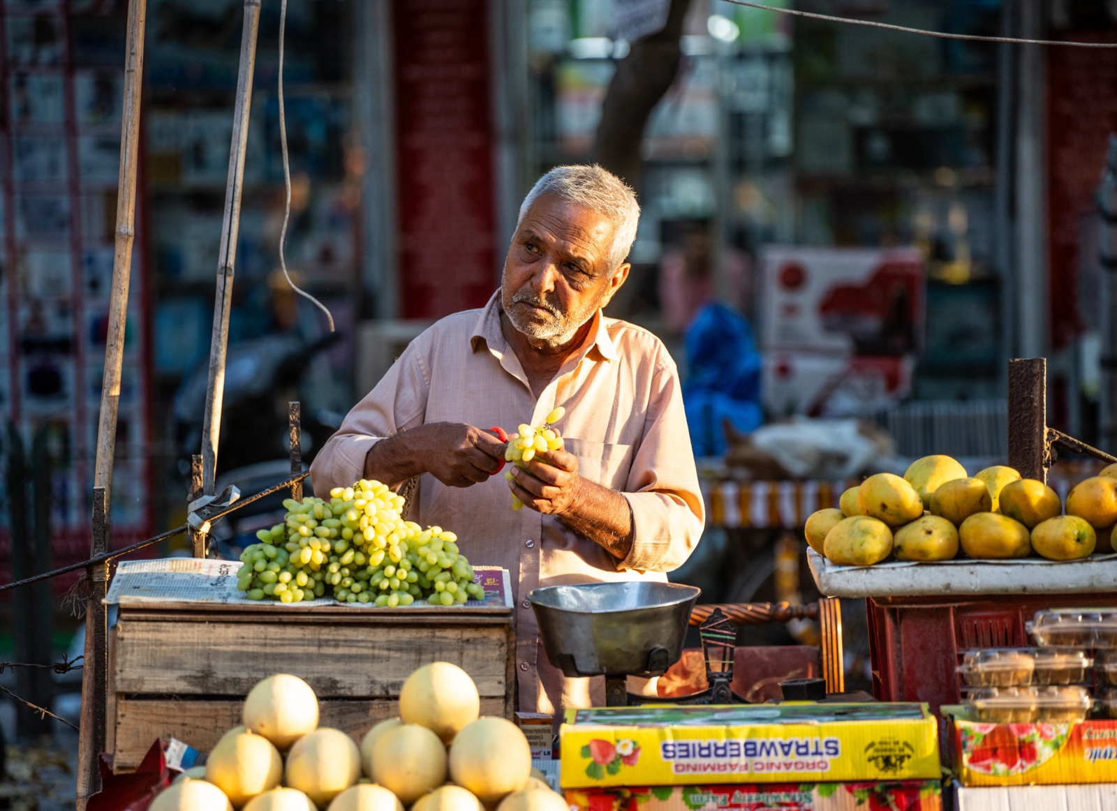 The fruit seller